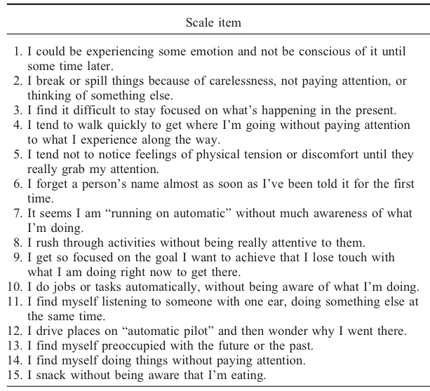 from the Mindful Attention Awareness Scale